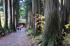 吉永小百合が撮ってた場所。