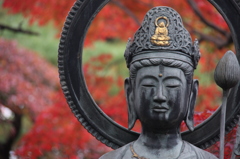 中院