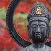 中院
