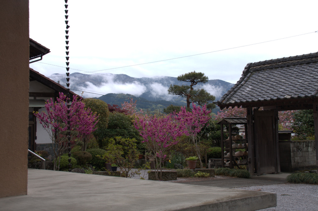 瑞岩寺