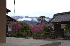 瑞岩寺