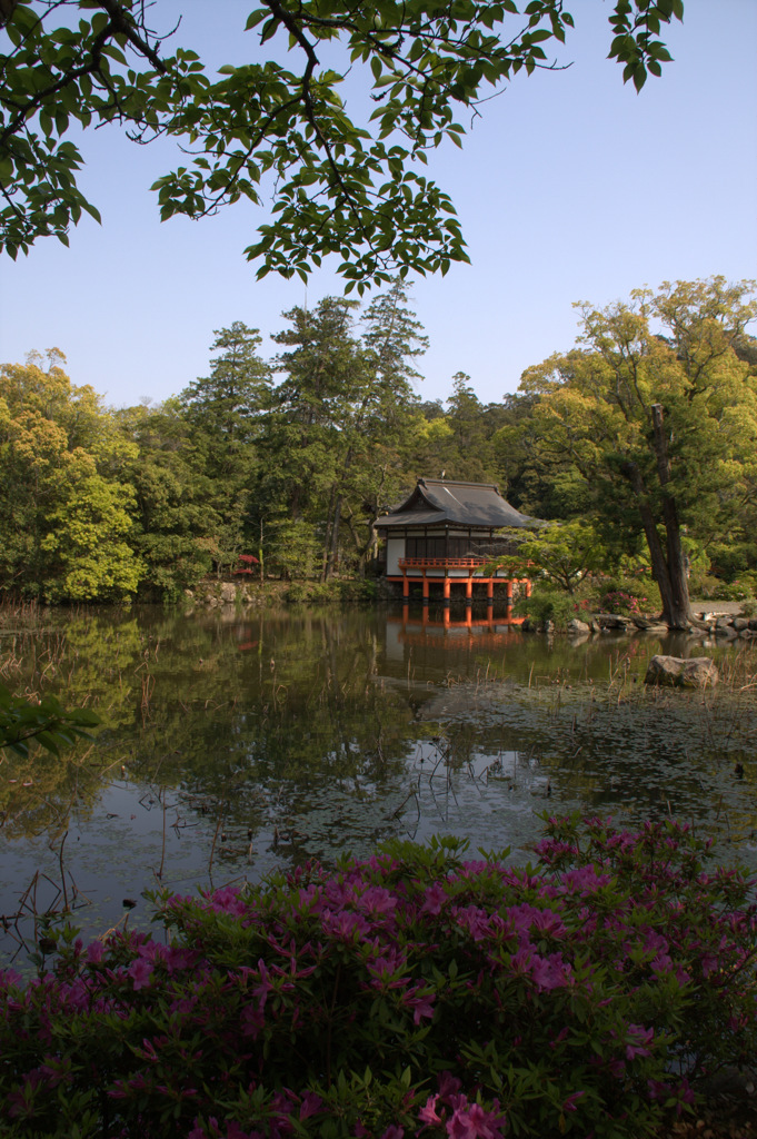 宇佐八幡宮