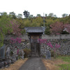 瑞岩寺