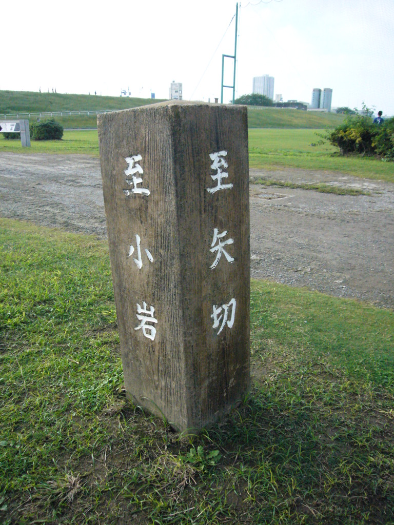 矢切りの渡し、楽しかったな。