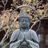 四萬部寺