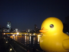 「おおきいでしょ」