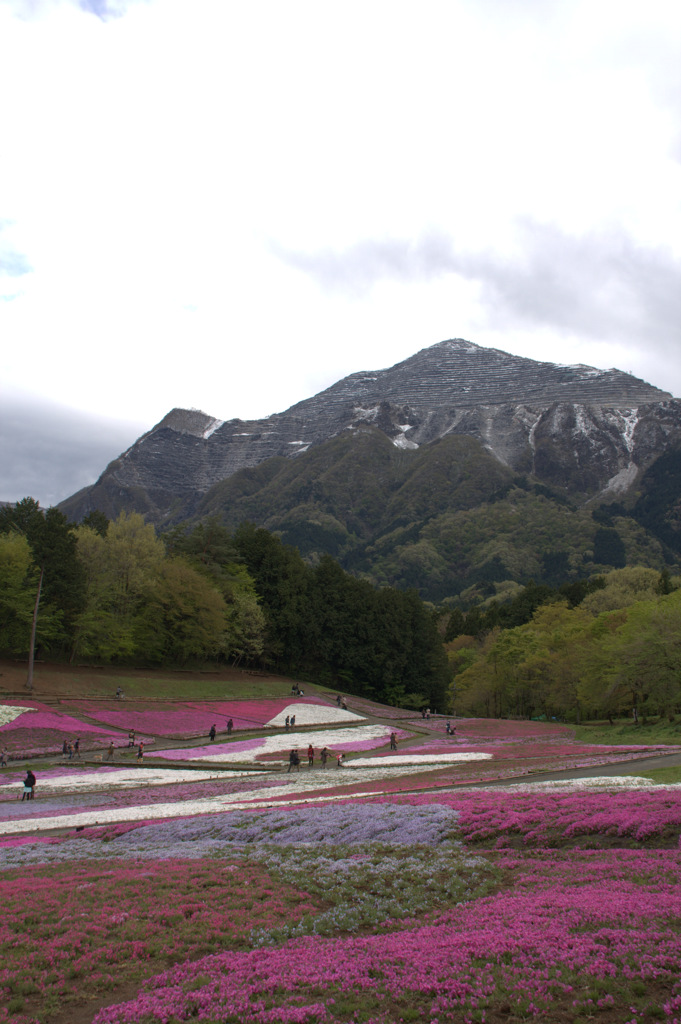 山も雪化粧しているね。