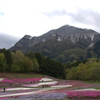 山も雪化粧しているね。