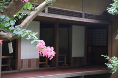 お宅探訪