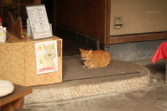 「そば食べて行き」