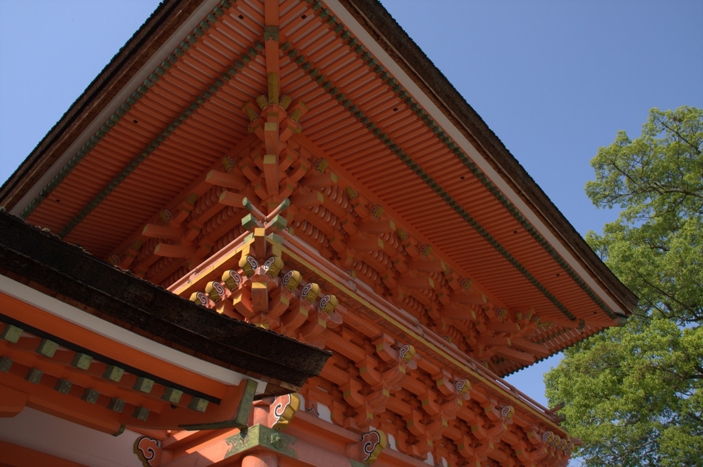 宇佐八幡宮