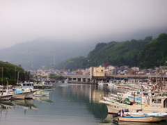 由比港