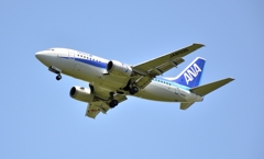 ANA