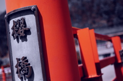 櫻橋