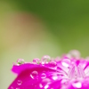 雨滴レンズ