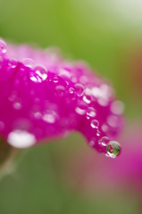 雨滴レンズ