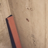 Angle