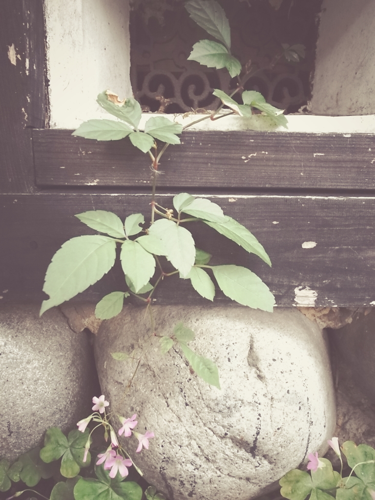 蔵の淵
