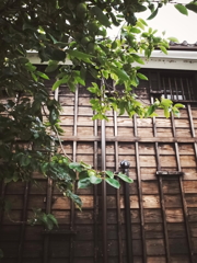 実のなる木と蔵