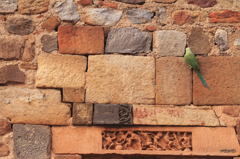 Delhi.india