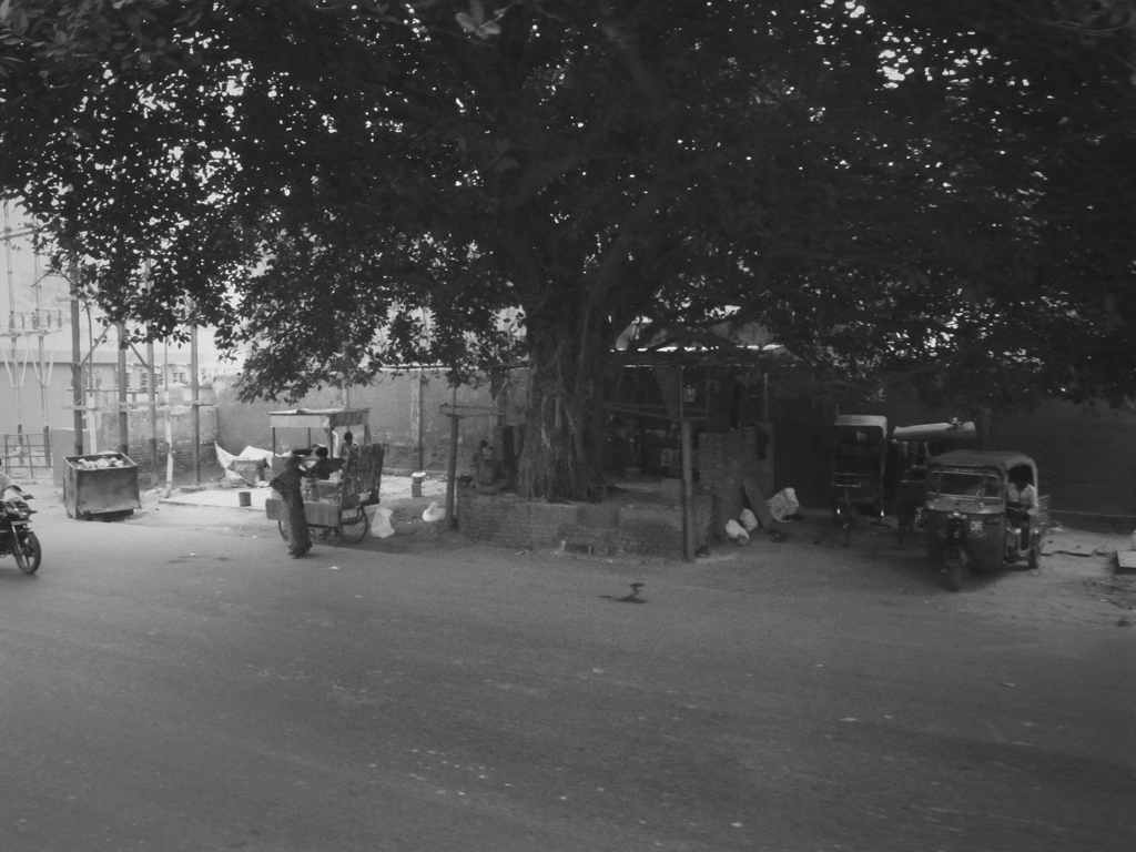 big tree＆ tiny shop