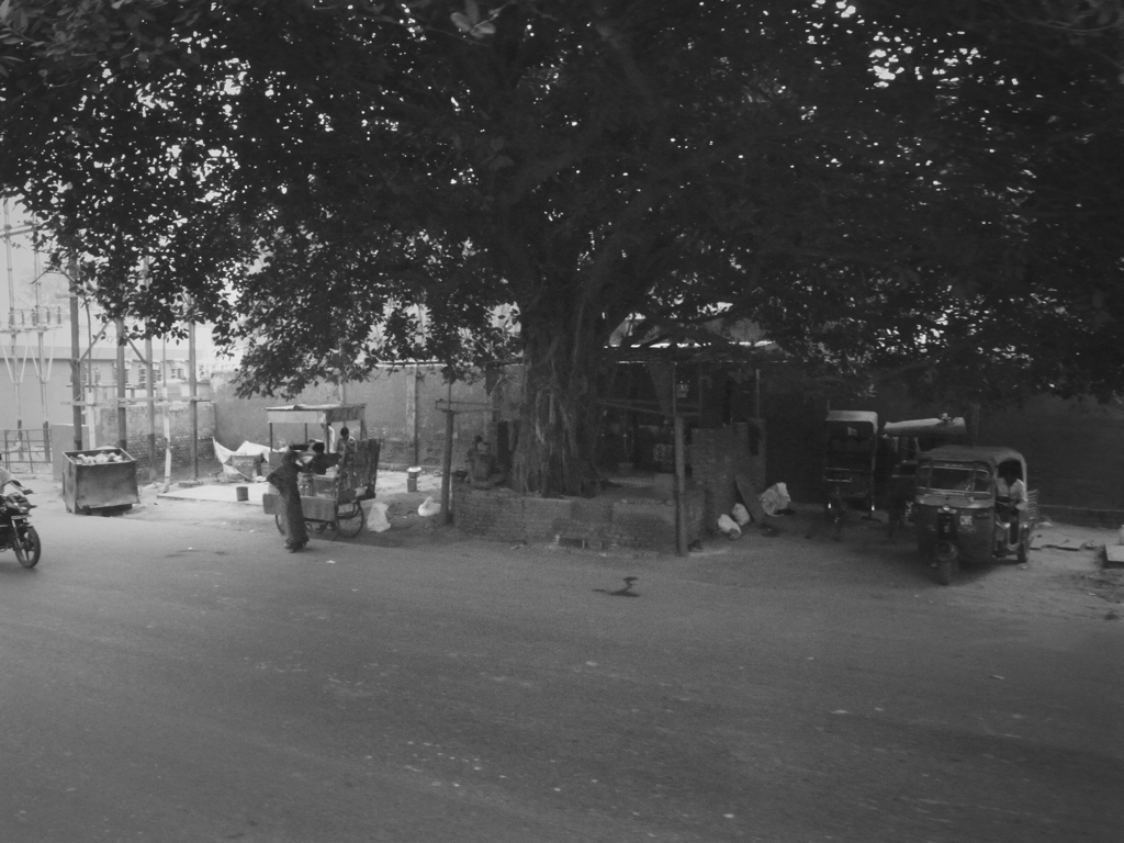 big tree＆ tiny shop