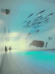 ocean floor 