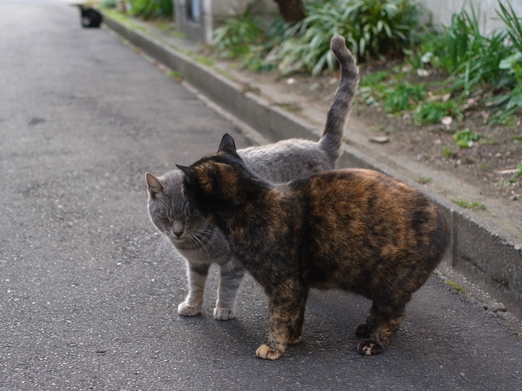 なかよし二人組