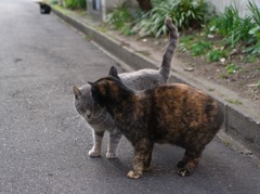 なかよし二人組