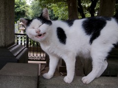 満面の笑み