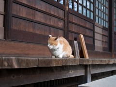 お経を聞きながらウトウト