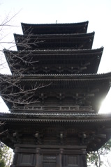 東寺