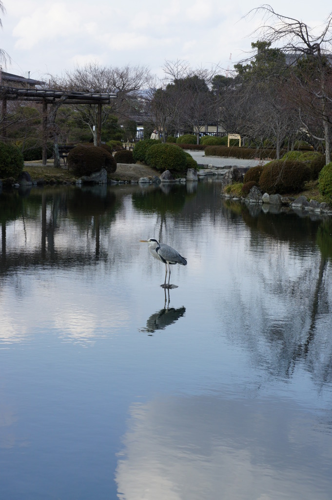 東寺