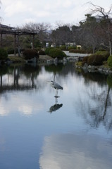 東寺