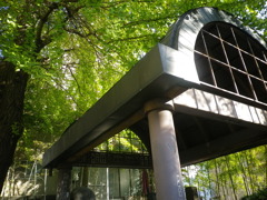 緑生い茂る回向院　
