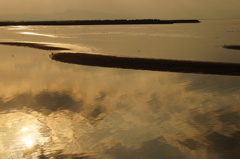 goldbeach
