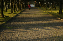 散歩