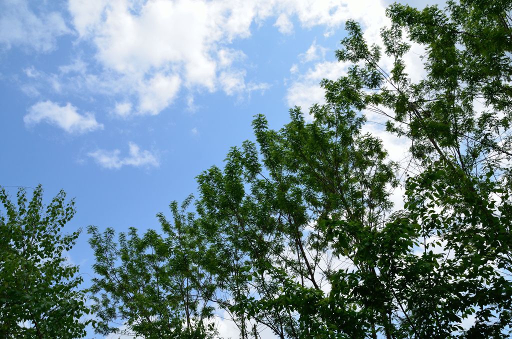 雨上がりの空