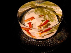 金魚　アートアクアリウム　日本橋　コレド
