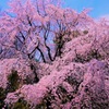 天高く