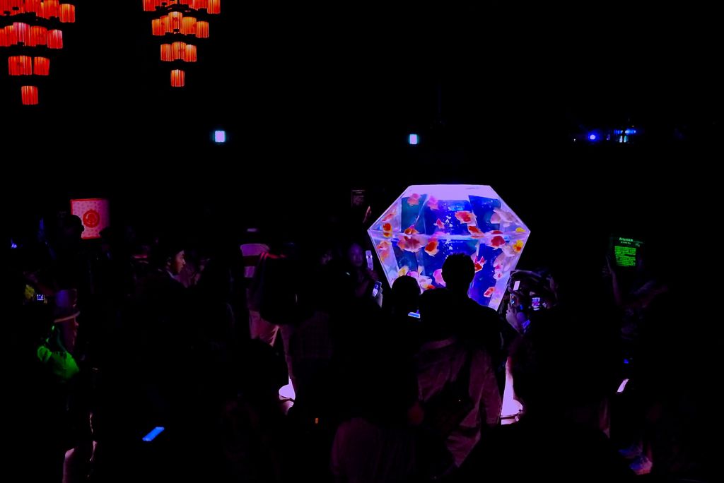魚祭り