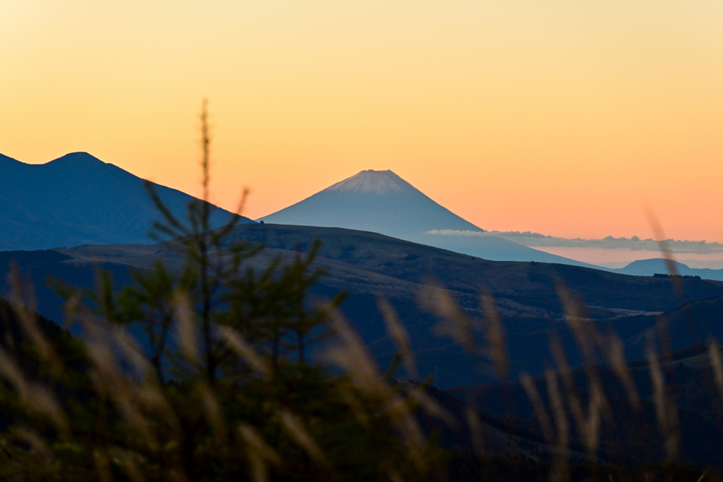 美ヶ原王ヶ頭 富士山