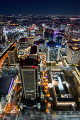 横浜ランドマークタワー スカイガーデン