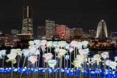 横浜イルミネーション