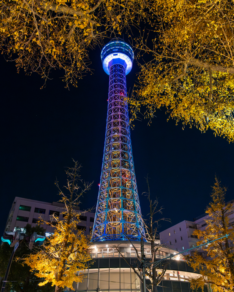 ヨルノヨ 横浜マリンタワー
