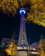 ヨルノヨ 横浜マリンタワー