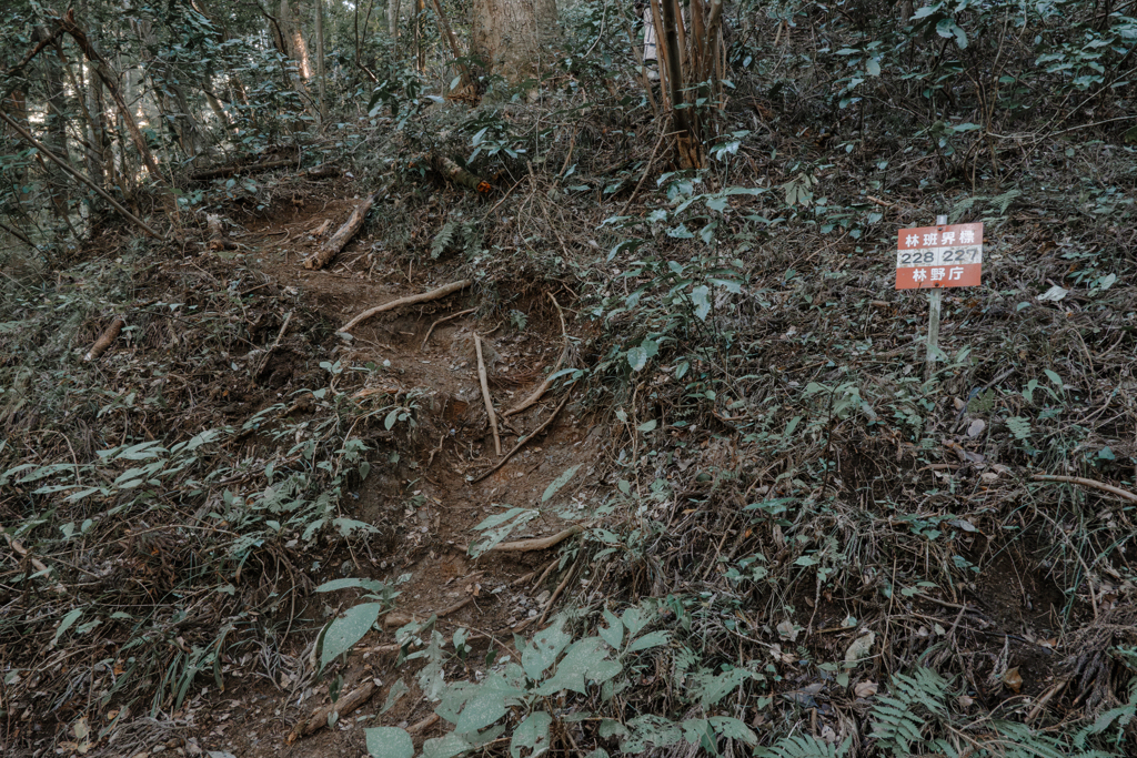 高尾山登山口