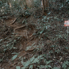 高尾山登山口