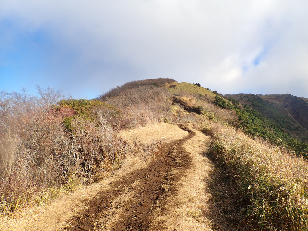 金時山～明神ヶ岳縦走④