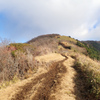 金時山～明神ヶ岳縦走④